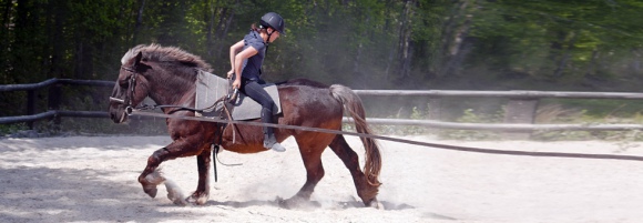 Stage equitation - Domaine Equestre Chevillon - Bourgogne