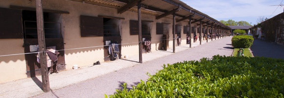 Classe à la journée au Centre equestre de Chevillon, Bourgogne